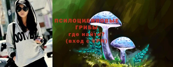 стафф Вяземский